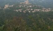 Excursión Senderismo Najac - boucle najac - Photo 3