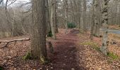 Tocht Stappen Spa - La promenade de Meyerbeer (6,6km)  - Photo 17