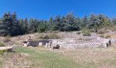 Randonnée Marche Bédoin - Sur les traces du reboisement du Ventoux 1860 - Photo 4