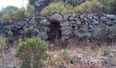 Trail Walking Monticello - boucle d'arbo - Photo 7