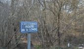 Tour Wandern La Bouille - 20220322-La Bouille  - Photo 16
