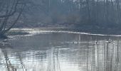 Tour Wandern Gerpinnes - Première de février  - Photo 5