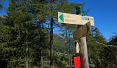 Tour Wandern Vallorcine - J18 - R17 - Col des Montets - Cascade de Bérard - Photo 8