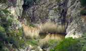 Trail Walking Roquebrune-sur-Argens - SityTrail - Les 25 ponts-Roquebrune sur Argens-28-01-22 - Photo 11
