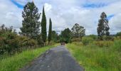 Tour Wandern Monterroso - Arrêté Melide - Photo 3