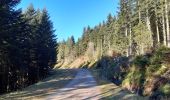 Tour Wandern Gerdsee - gerardmer - la mauselaine . tête grauvelin . Roche boquet . croix claudé . hautes Vannes . la mauselaine  - Photo 10