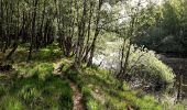 Trail On foot Itzstedt - Rundweg durch die Gemeinde Itzstedt - Photo 1