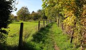 Tour Wandern Gesves - Mozet - Château d'Arville - Photo 8