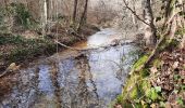 Trail Walking Rochefort-en-Valdaine - Le Colombier Rochefort en Valdaine 18km - Photo 11