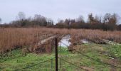 Randonnée Marche Milly-la-Forêt - Milly la Forêt le 18/02 - Photo 2