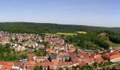 Tour Zu Fuß Egelshardt - Rotes Kreuz - Photo 6