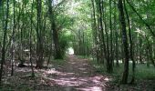 Trail Walking Bouilly - Bucey 19 Juillet 2022 - Photo 1