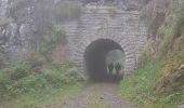 Excursión Senderismo Moulinet - Bois Noir au départ de Cabanes Vieilles - Photo 5