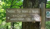 Tour Wandern Ota - Ota Mariniana - Photo 3