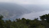 Tocht Stappen Levanto - Levanto-monterosso-11kmD450m - Photo 3