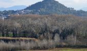 Trail Walking Vidauban - Vidauban - Château d'Astros - Chapelle St Lambert - Photo 4