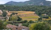 Tour Wandern Sainte-Maxime - Chapelle St Donat - Marri Vallat - Le Revest - Col de Grateloup - Photo 4