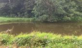 Trail Running Sainte-Anne - Liard saint Robert - Photo 7