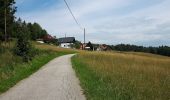 Percorso A piedi Hitzendorf - Auf den Spuren von Österr-Weiß - Photo 1