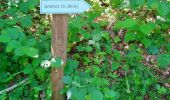 Trail Nordic walking Volvic - Le tour du Puy de Paugnat (World beta)  - Photo 1