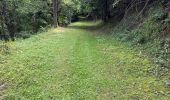 Trail Walking Aulon - J10-Aulon fait - Photo 17