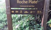 Randonnée Marche La Possession - Roche Plate  Maido  - Photo 7