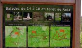 Excursión Senderismo Longpont - en forêt de Retz_77_Longpont_Puiseux en Retz_AR - Photo 16