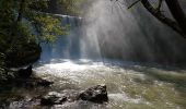 Percorso Marcia Sainte-Eulalie-en-Royans - les cascades - Photo 1
