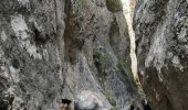 Trail Walking Cheval-Blanc - Gorges de Régalon - Photo 10