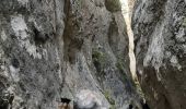 Percorso Marcia Cheval-Blanc - Gorges de Régalon - Photo 10