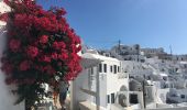 Tour Wandern Δημοτική Ενότητα Θήρας - Santorin le 26-09-19 - Photo 14