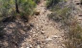 Tocht Mountainbike Les Adrets-de-l'Estérel - Esterel 8 : Fait 2022 les Adrets Fréjus st Raphaël Agay et retour - Photo 3