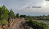 Randonnée Marche Leucate - leucate - cap des frères (sentier des bergers) -la franqui (sentier des guetteurs) - leucate (se tier des vignerons) - Photo 5