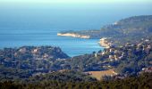 Trail Walking Cassis - Le Mont Gibaou **(cassis 13) - Photo 8