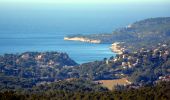 Tocht Stappen Cassis - Le Mont Gibaou **(cassis 13) - Photo 8