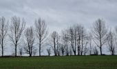 Tour Wandern Chaumont-Gistoux - #240216 - Bonlez, Aftia, Bruyères, Champ des Goffes**** - Photo 4