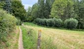 Trail Walking Flobecq - La Houppe 18 Km - Photo 4