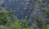 Randonnée Marche Beauvezer - villars heyssier gorges Saint Pierre 19kms 850m  - Photo 7