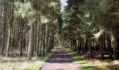 Tour Wandern Geilich - La promenade des bornes frontière - Photo 1