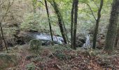 Randonnée Marche Essertines-en-Châtelneuf - Essertines en Châtelneuf - Photo 4