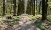 Trail Walking Anderlues - BE-Anderlues - Le Bois du Baron - Tour des Etangs - Photo 18