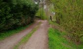 Trail Walking Colmar - Entre l'Ill et la forêt  - Photo 1