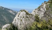 Tour Wandern La Palud-sur-Verdon - La palud sur Verdon - Photo 5