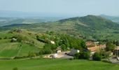 Tour Wandern Cournols - Cournols_Olloix_St_Saturnin - Photo 1