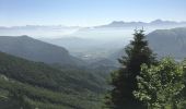 Trail Walking Chichilianne - Autour du mont Aiguille - Photo 13