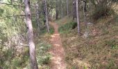 Trail Walking Sisteron - 05 mollard zel - Photo 1