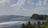 Tour Wandern La Trinité - cosmy- anse Richer-anse Lahoussaye-Etoile- anse Azerot-Cosmy - Photo 16