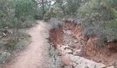 Trail Walking Cuers - Cuers .la bouisse , le roucas de mounier - Photo 1