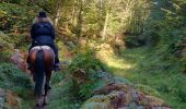 Trail Horseback riding Reipertswiller - 2019-10-12 Rando CVA Reipertswiller vers Lichtenberg - Photo 2