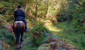 Tour Reiten Reipertsweiler - 2019-10-12 Rando CVA Reipertswiller vers Lichtenberg - Photo 2